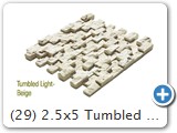 (29) 2.5x5 Tumbled Light-Beige